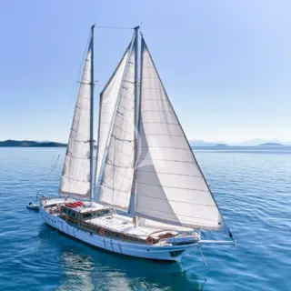 WHITE PEARL - Image 10