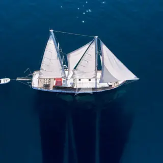 WHITE PEARL - Image 1