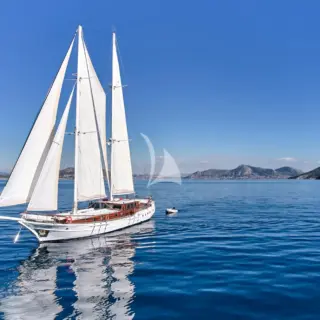 WHITE PEARL - Image 17