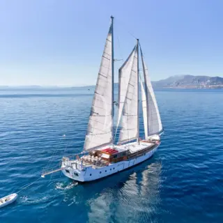 WHITE PEARL - Image 7