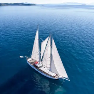 WHITE PEARL - Image 5