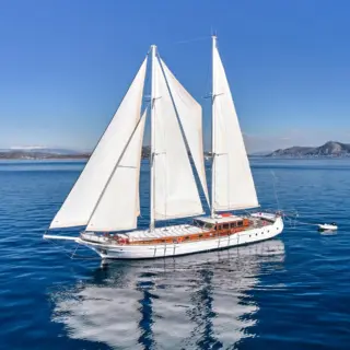 WHITE PEARL - Image 13