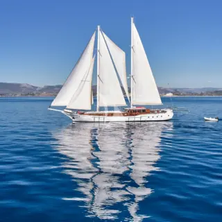 WHITE PEARL - Image 16