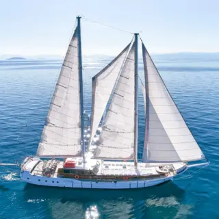 WHITE PEARL - Image 6