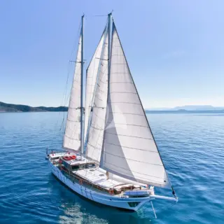 WHITE PEARL - Image 11