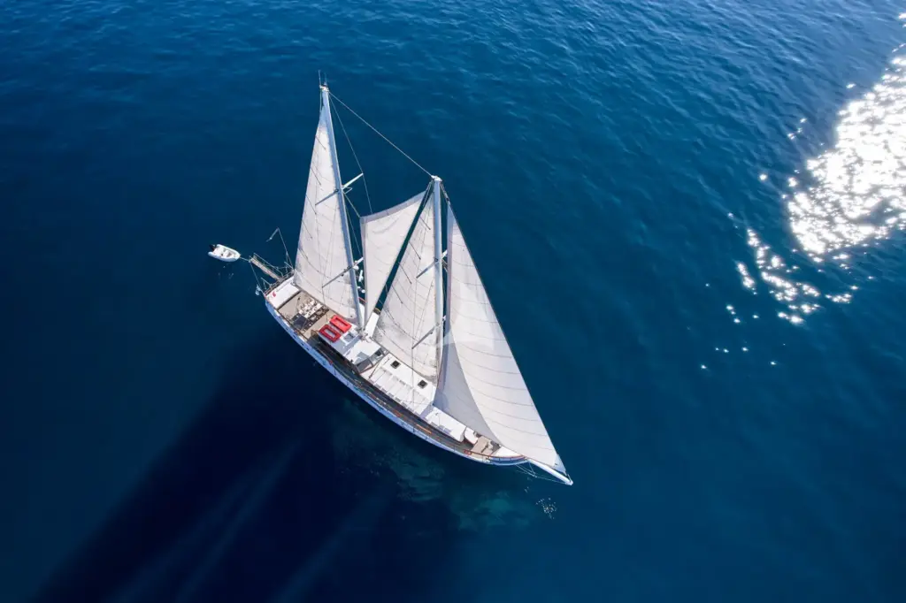 WHITE PEARL - Image 2