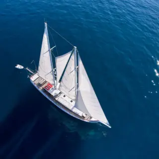 WHITE PEARL - Image 2