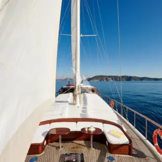 WHITE PEARL - Image 22