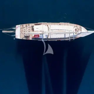 WHITE PEARL - Image 18