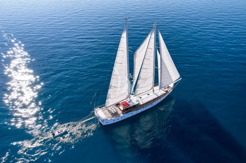 WHITE PEARL - Image 4