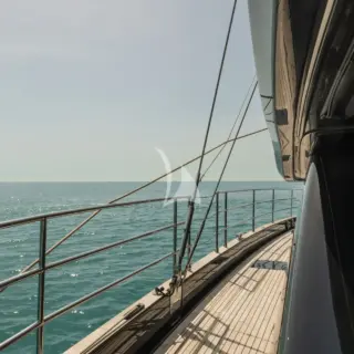 BLACK RAPTOR - Image 21