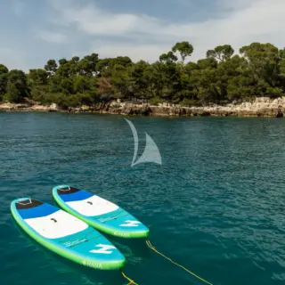 BLACK RAPTOR - Image 15