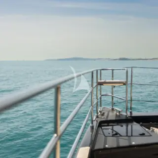 BLACK RAPTOR - Image 9