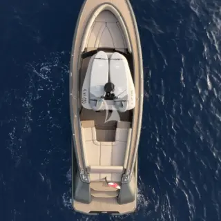 MISS MICHELLE - Wajer Tender