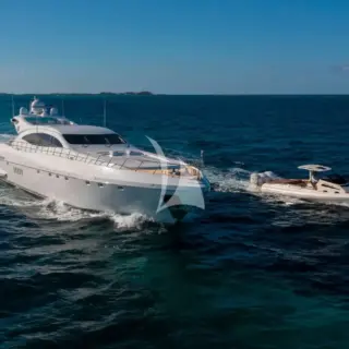 TOTAL - Running Shot