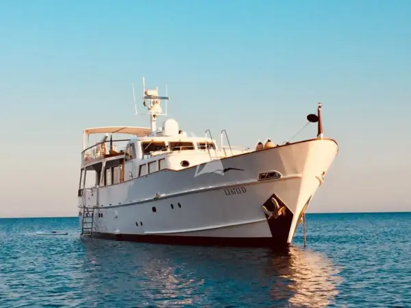 Nina Spirit of the Wind