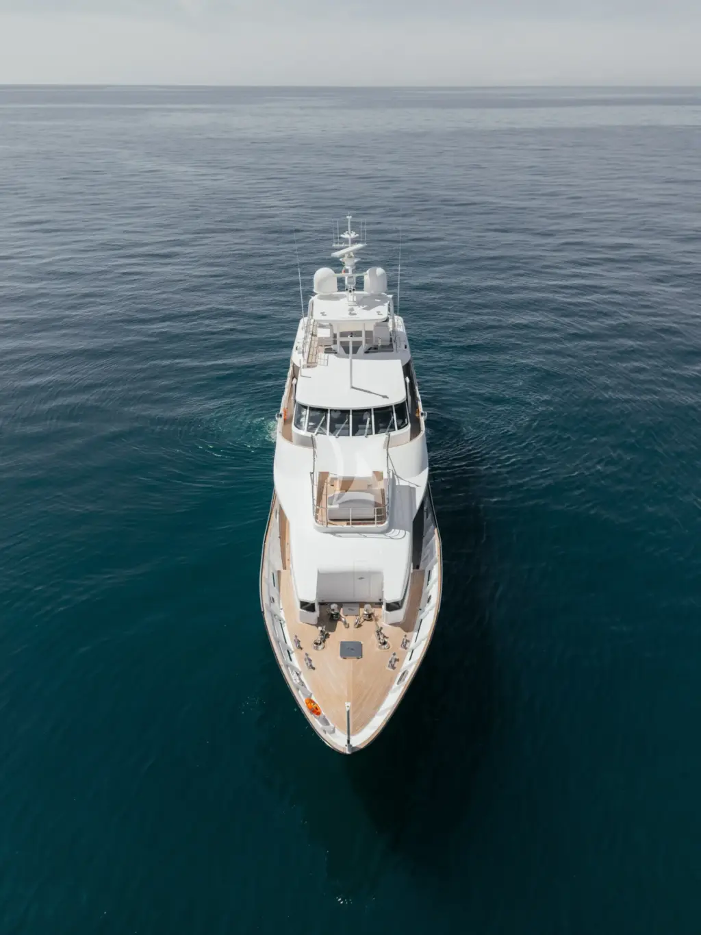 LADY IN BLUE - Image 4