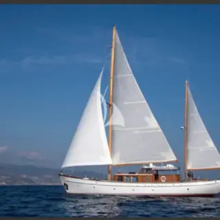 SEA PRINCE - Image 5