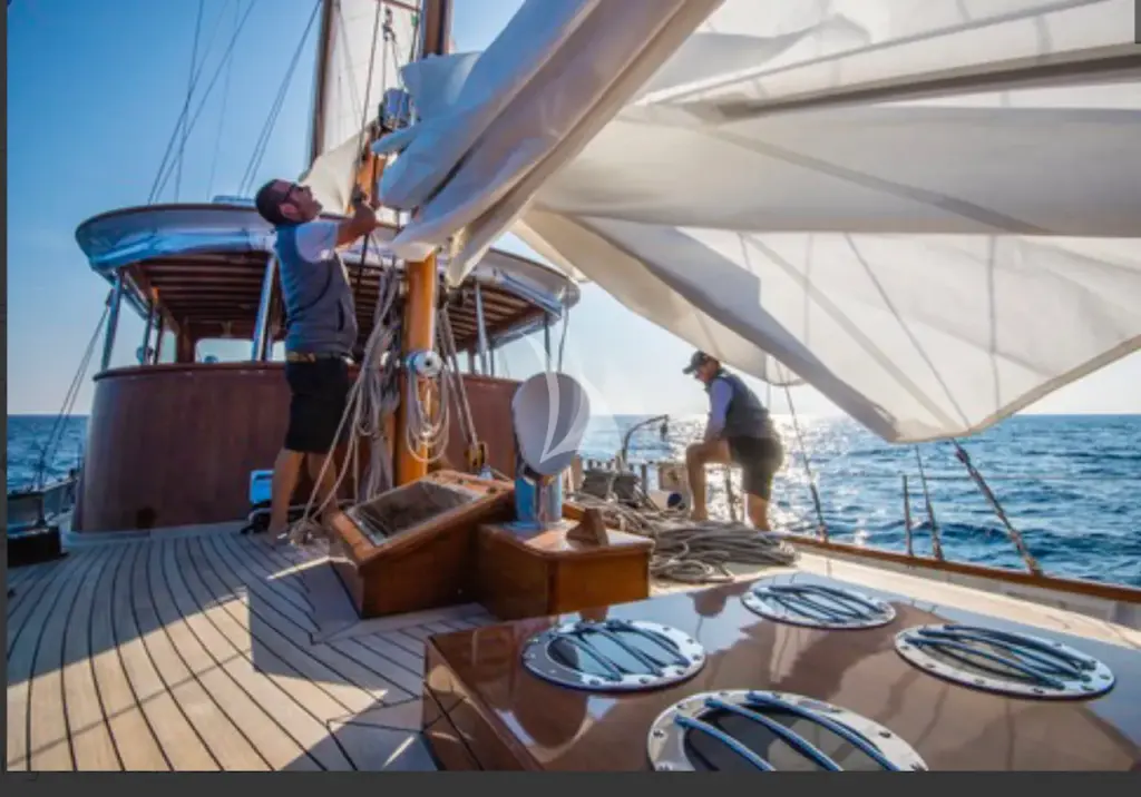 SEA PRINCE - Image 2