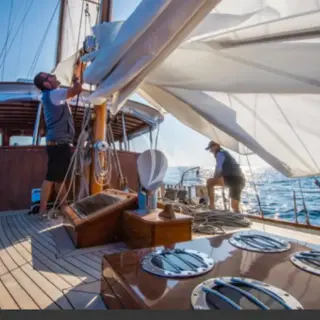 SEA PRINCE - Image 2