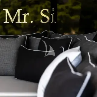 MR.SI - Image 9