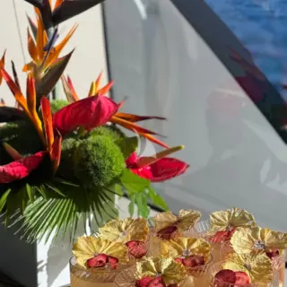 NOMAD (YET) - Image 16