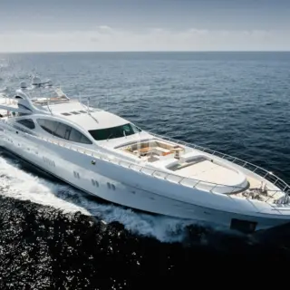 ROYALE X - Main profile 