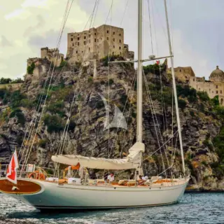 WHITEFIN for charter