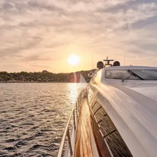 WET PANTHER - Image 19