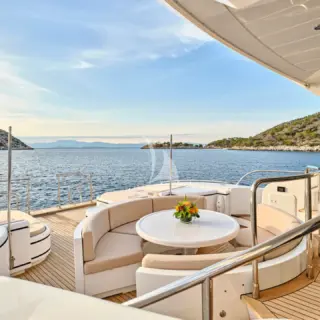 WET PANTHER - Image 17