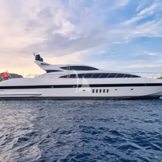 WET PANTHER - Image 1