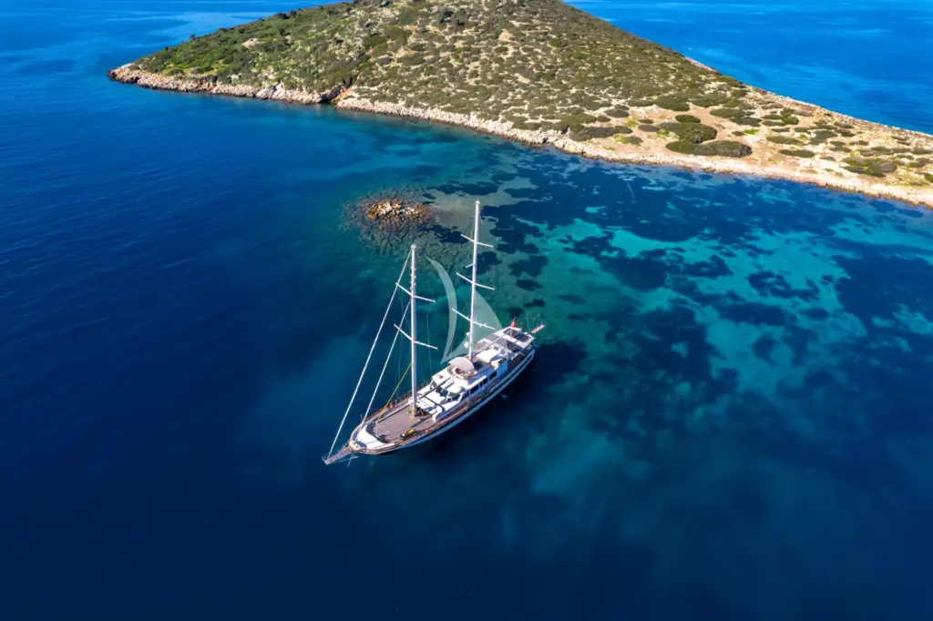 DOUBLE EAGLE - Image 4