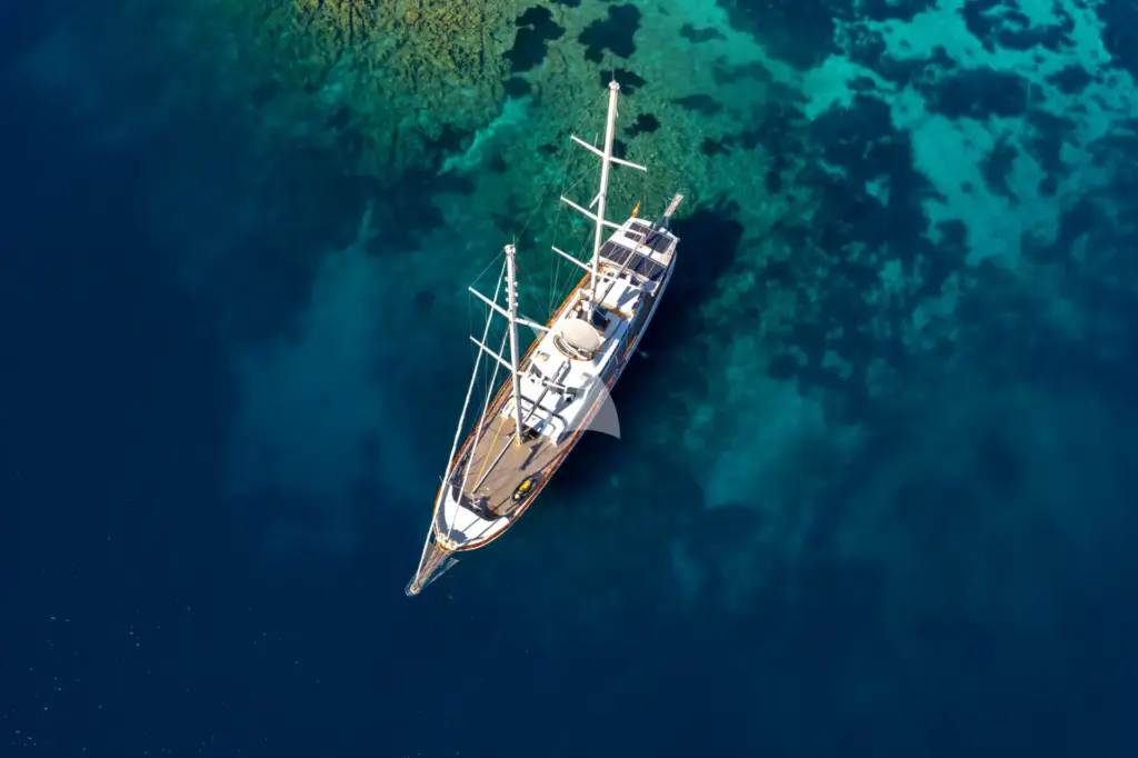 DOUBLE EAGLE - Image 5