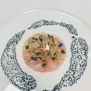 starter