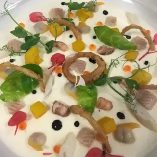starter2