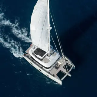 Vivi - Image 11