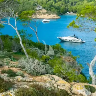 MARLEENA - Image 10