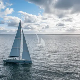 W - Image 7