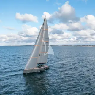 W - Image 2