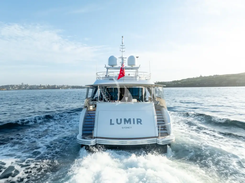 LUMIR - Image 3