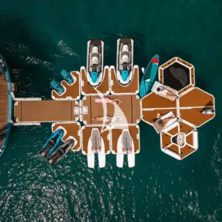FREEDOM - Image 6