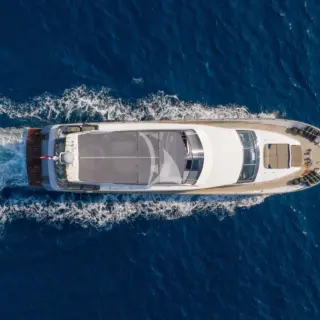 COCA VI - Image 4