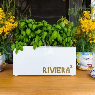 Riviera - Deck detail