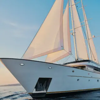 ANIMA MARIS - Sailing