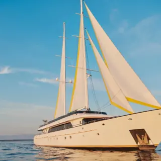 ANIMA MARIS - Sailing