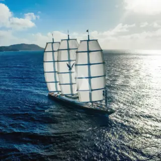 MALTESE FALCON