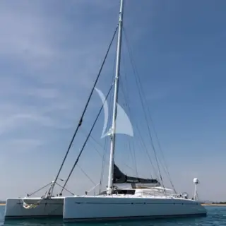 MAGIC CAT - Exterior