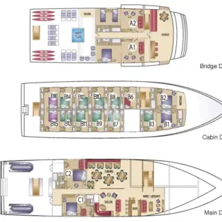 Layout
