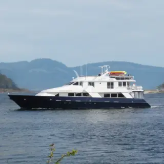 Profile 1