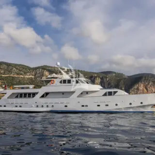 PROFILE 17